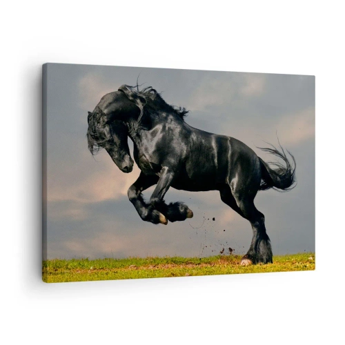 Impression sur toile - Image sur toile - Un cheval noir dans un saut dynamique contre le ciel - 70x50cm - Beau et libre - Décoration murale moderne pour le salon et la chambre ARTTOR