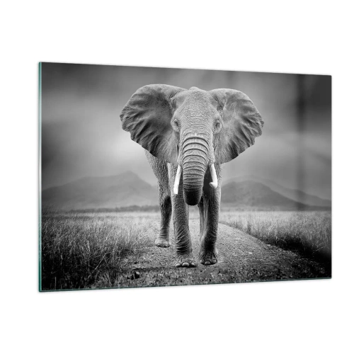 Impression sur verre - Image sur verre - Éléphant dans la savane en noir et blanc - 120x80cm - Les hôtes vous saluent - Décoration murale moderne pour le salon et la chambre ARTTOR