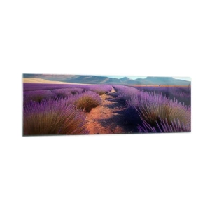 Impression sur verre - Image sur verre - Un champ de lavande avec vue sur les montagnes et le ciel bleu - 160x50cm - Champs parfumés - Décoration murale moderne pour le salon et la chambre ARTTOR