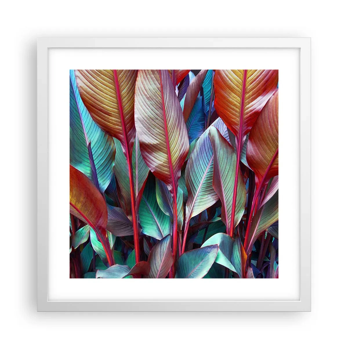 Affiche dans un cadre blanc - Poster - Un fourré coloré - 40x40 cm