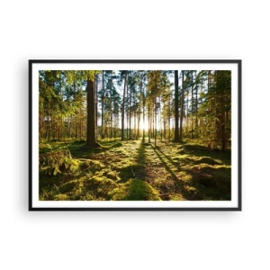 Affiche dans un cadre noir - Poster - Forêt verte illuminée par la lumière du soleil sur la mousse - 100x70cm - … Derrière les sept forêts - Décoration murale moderne pour le salon et la chambre ARTTOR