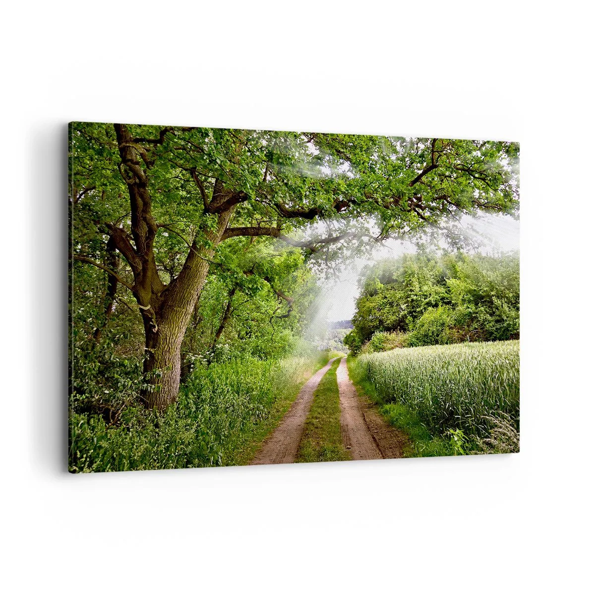 Impression sur toile - Image sur toile - Un chemin de terre parmi les arbres verts et la lumière du soleil - 120x80cm - Et in Arcadia ego - Décoration murale moderne pour le salon et la chambre ARTTOR