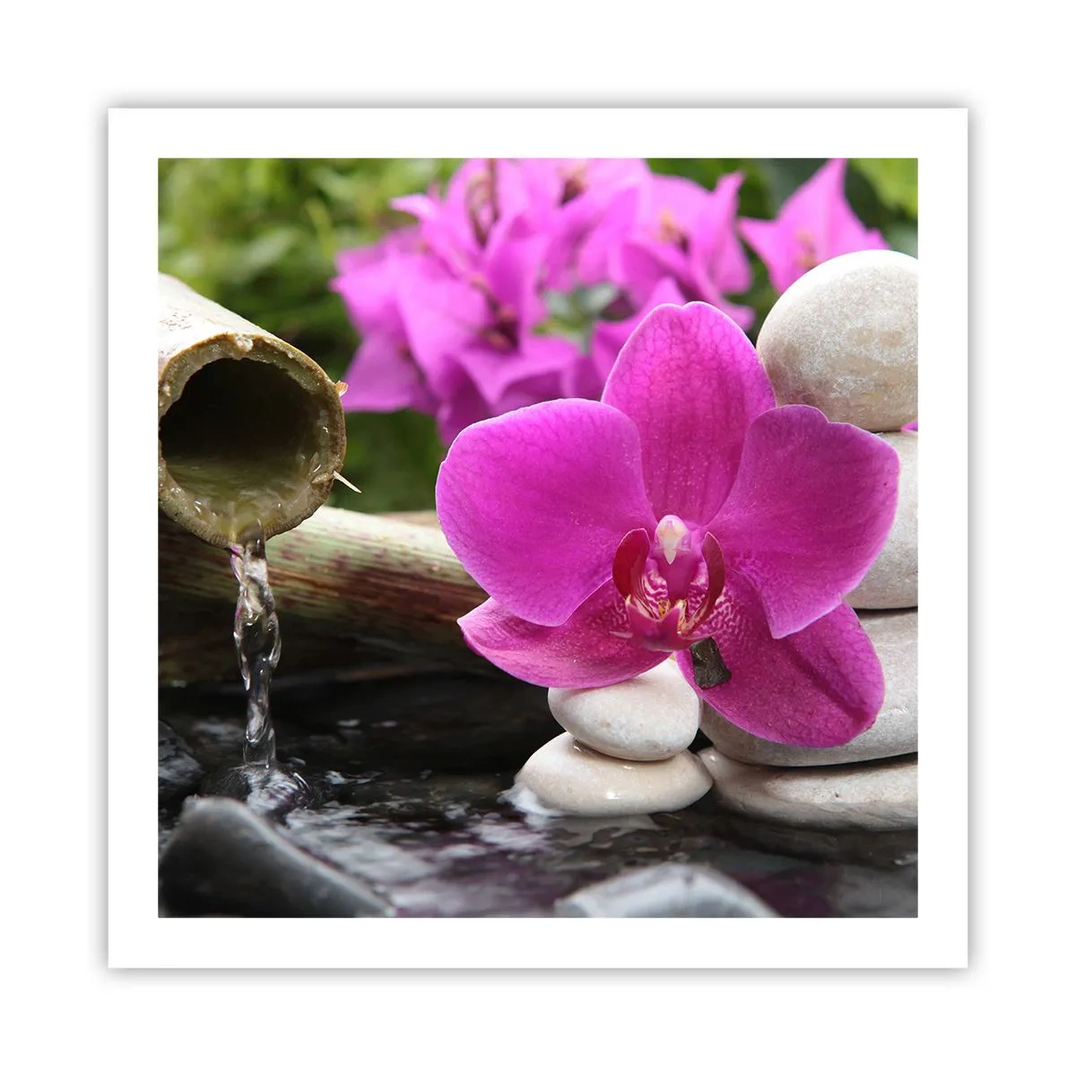 Affiche - Poster - Tu te reposes déjà - 60x60 cm