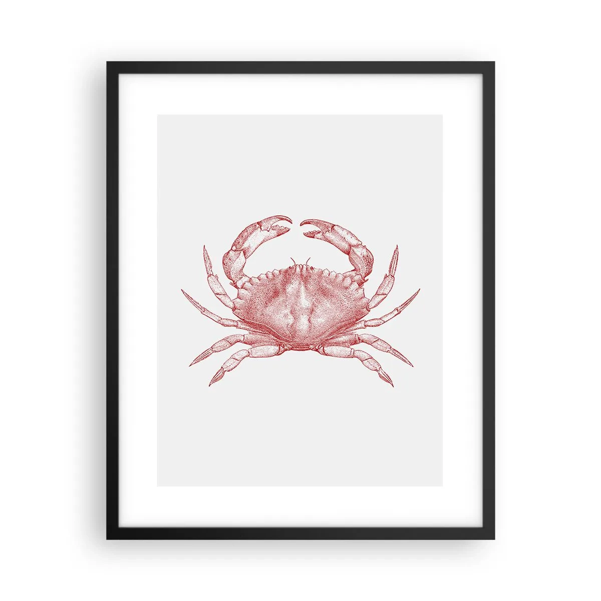 Affiche dans un cadre noir - Poster - Le crabe des crabes - 40x50 cm