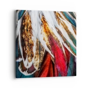 Impression sur toile - Image sur toile - Secrets de vol - 40x40 cm