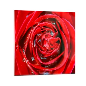 Impression sur verre - Image sur verre - Dans les gouttes de rosée - 60x60 cm