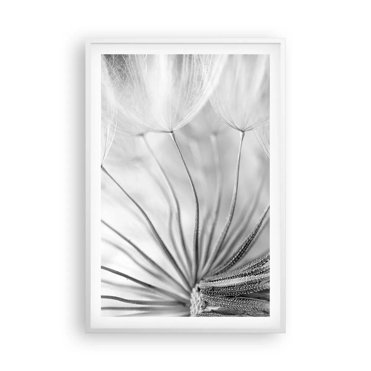 Affiche dans un cadre blanc - Poster - Aigrette avant son envol - 61x91 cm