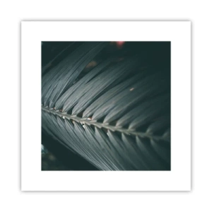 Affiche - Poster - Précision de la nature - 30x30 cm