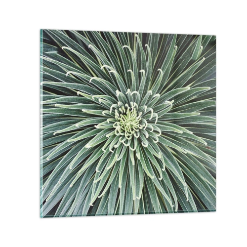 Impression sur verre - Image sur verre - Naissance d'une étoile - 70x70 cm