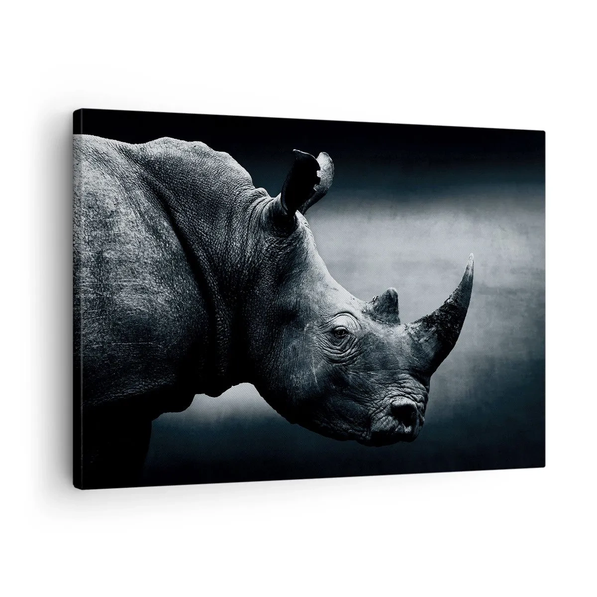 Impression sur toile - Image sur toile - Portrait noir et blanc d'un rhinocéros sur fond sombre - 70x50cm - Le profil droit - Décoration murale moderne pour le salon et la chambre ARTTOR