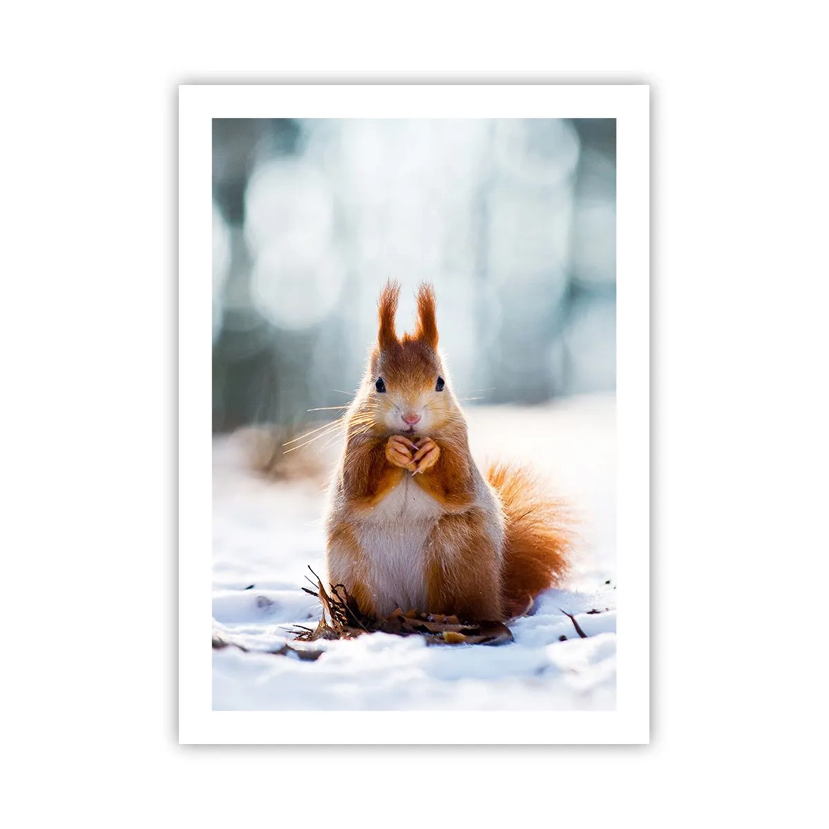 Affiche - Poster - Écureuil dans la neige dans la forêt d'hiver - 50x70cm - Qu'est ce que tu regardes comme ça? - Décoration murale moderne pour le salon et la chambre ARTTOR