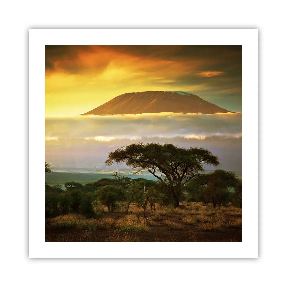 Affiche - Poster - Un rêve de voyageur - 50x50 cm