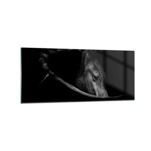 Impression sur verre - Image sur verre - Portrait en noir et blanc d'un cheval avec un jeu subtil de lumière et d'ombre sur un fond sombre. - 120x50cm - Prince Noir - Décoration murale moderne pour le salon et la chambre ARTTOR