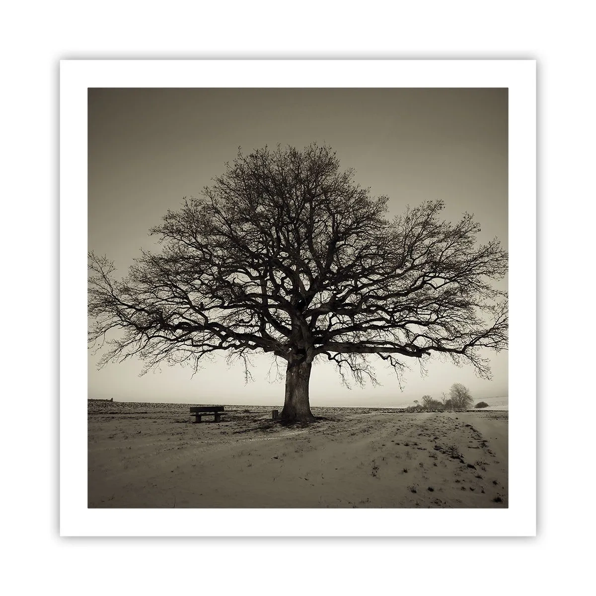 Affiche - Poster - D'ici à l'éternité - 60x60 cm