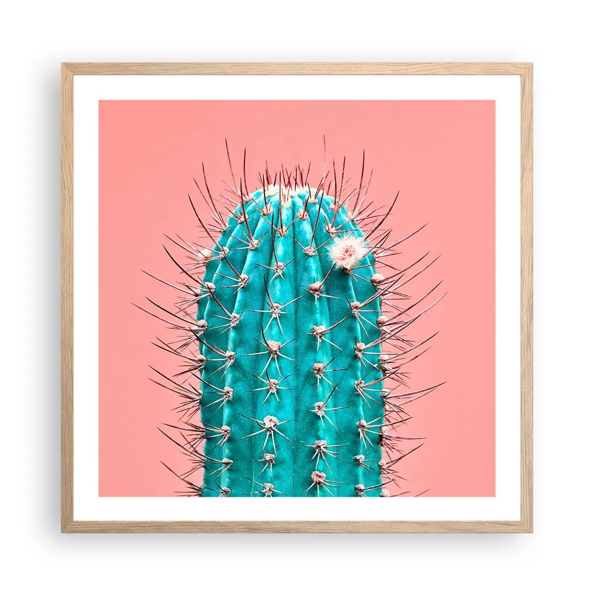 Affiche dans un chêne clair - Poster - Juste regarde - 60x60 cm