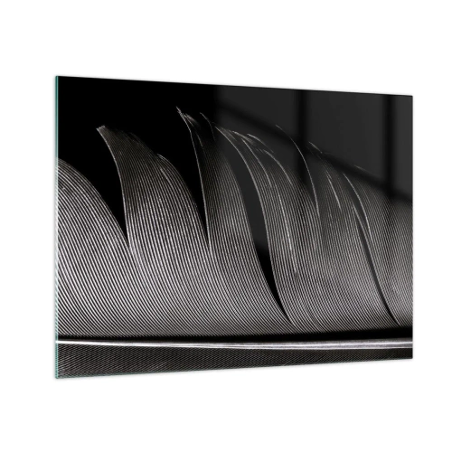 Impression sur verre - Image sur verre - Gros plan noir et blanc d'une plume présentée sous une lumière contrastée. - 70x50cm - La plume – un design magnifique - Décoration murale moderne pour le salon et la chambre ARTTOR