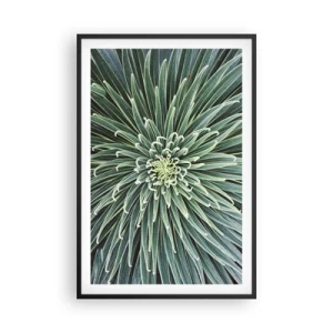 Affiche dans un cadre noir - Poster - Naissance d'une étoile - 61x91 cm