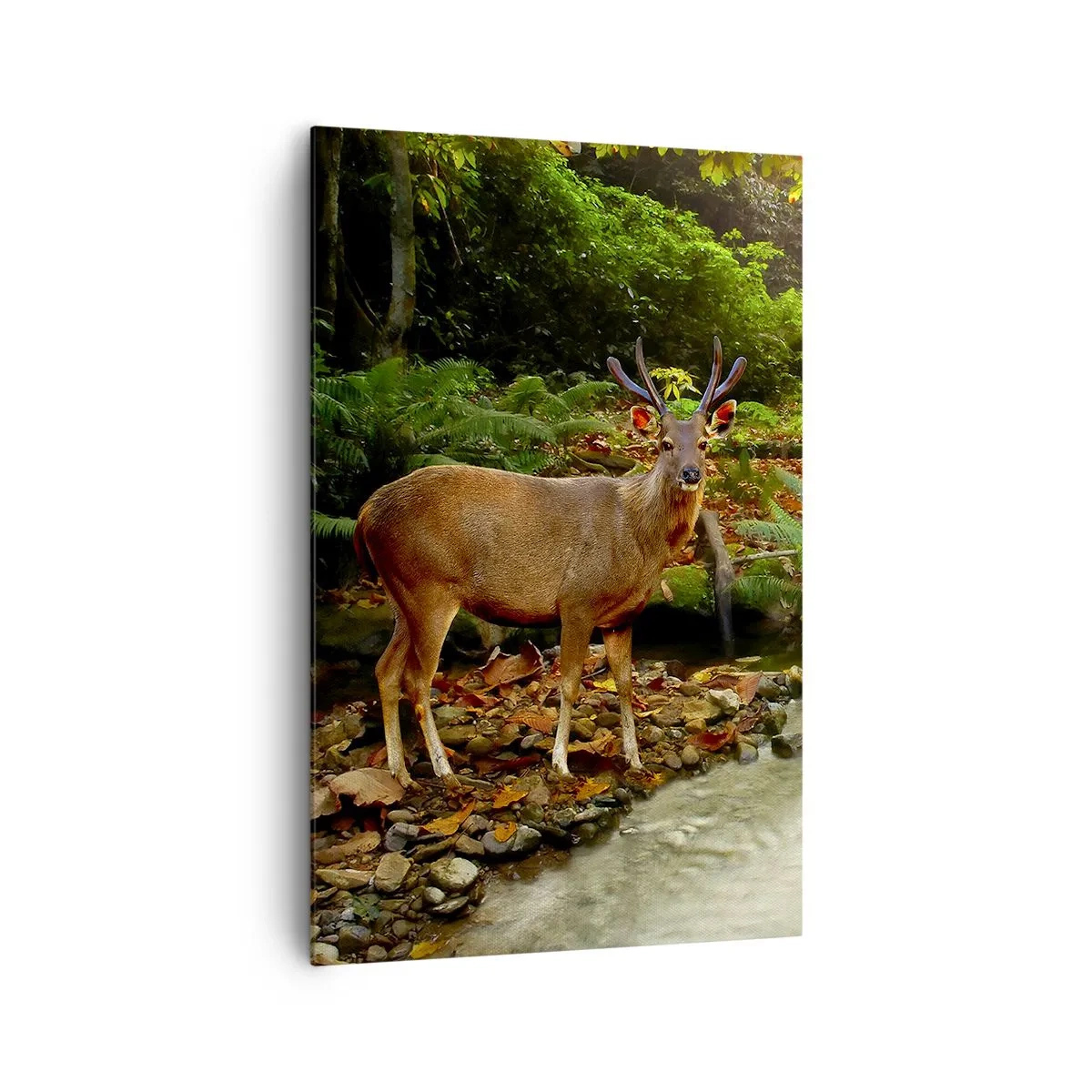 Impression sur toile - Image sur toile - Un cerf près d'un ruisseau entouré de verdure dans la forêt - 80x120cm - Bienvenue dans mon monde - Décoration murale moderne pour le salon et la chambre ARTTOR