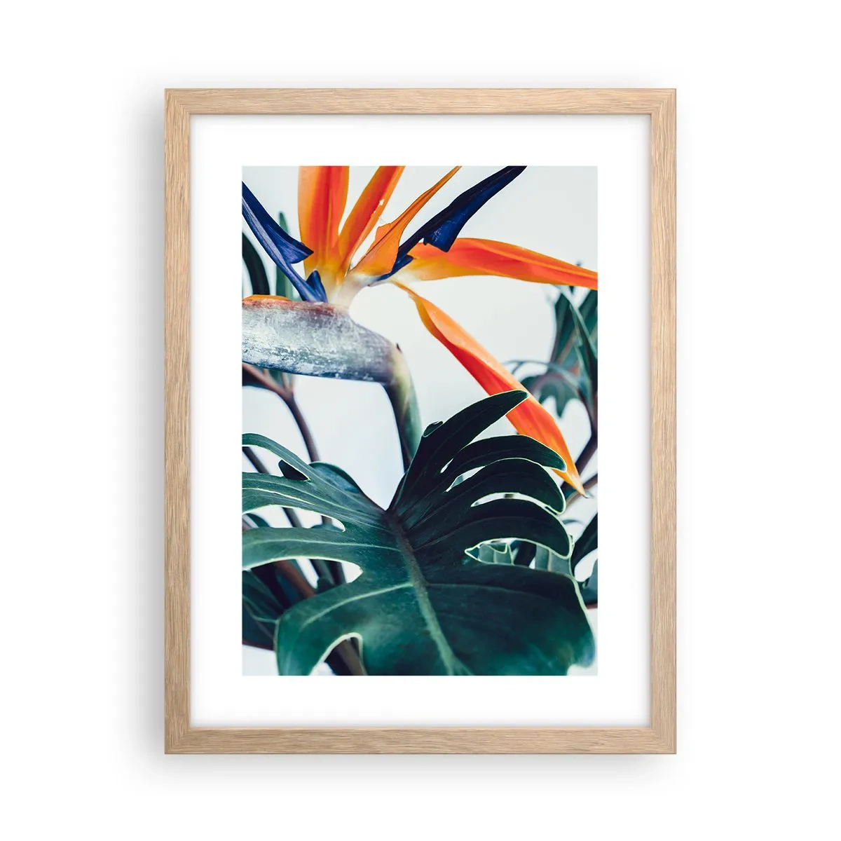 Affiche dans un chêne clair - Poster - Le buisson oiseaux - 30x40 cm