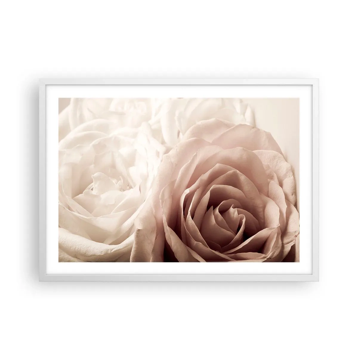 Affiche dans un cadre blanc - Poster - Au coeur d'ue la rose - 70x50 cm