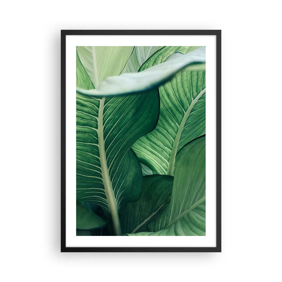 Affiche dans un cadre noir - Poster - Gros plan des feuilles vertes d'une plante - 50x70cm - Une vie intensément verte - Décoration murale moderne pour le salon et la chambre ARTTOR