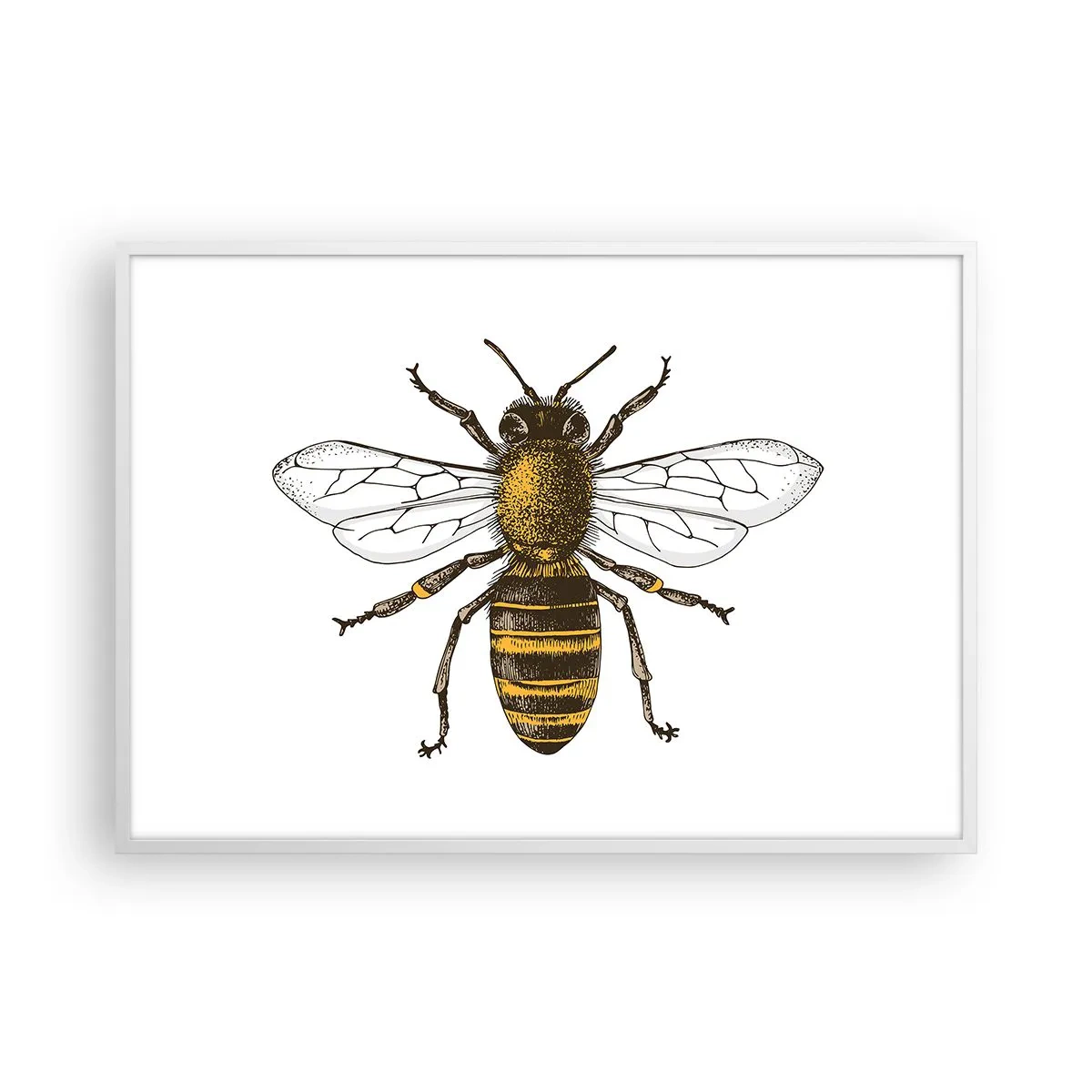 Affiche dans un cadre blanc - Poster - Belle et bonne - 100x70 cm