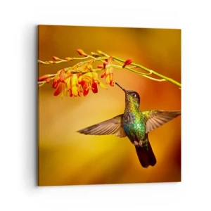 Impression sur toile - Image sur toile - Un messager de lumière selon les Mayas - 70x70 cm