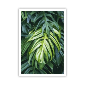 Affiche - Poster - Immergez-vous dans la fraîcheur - 70x100 cm