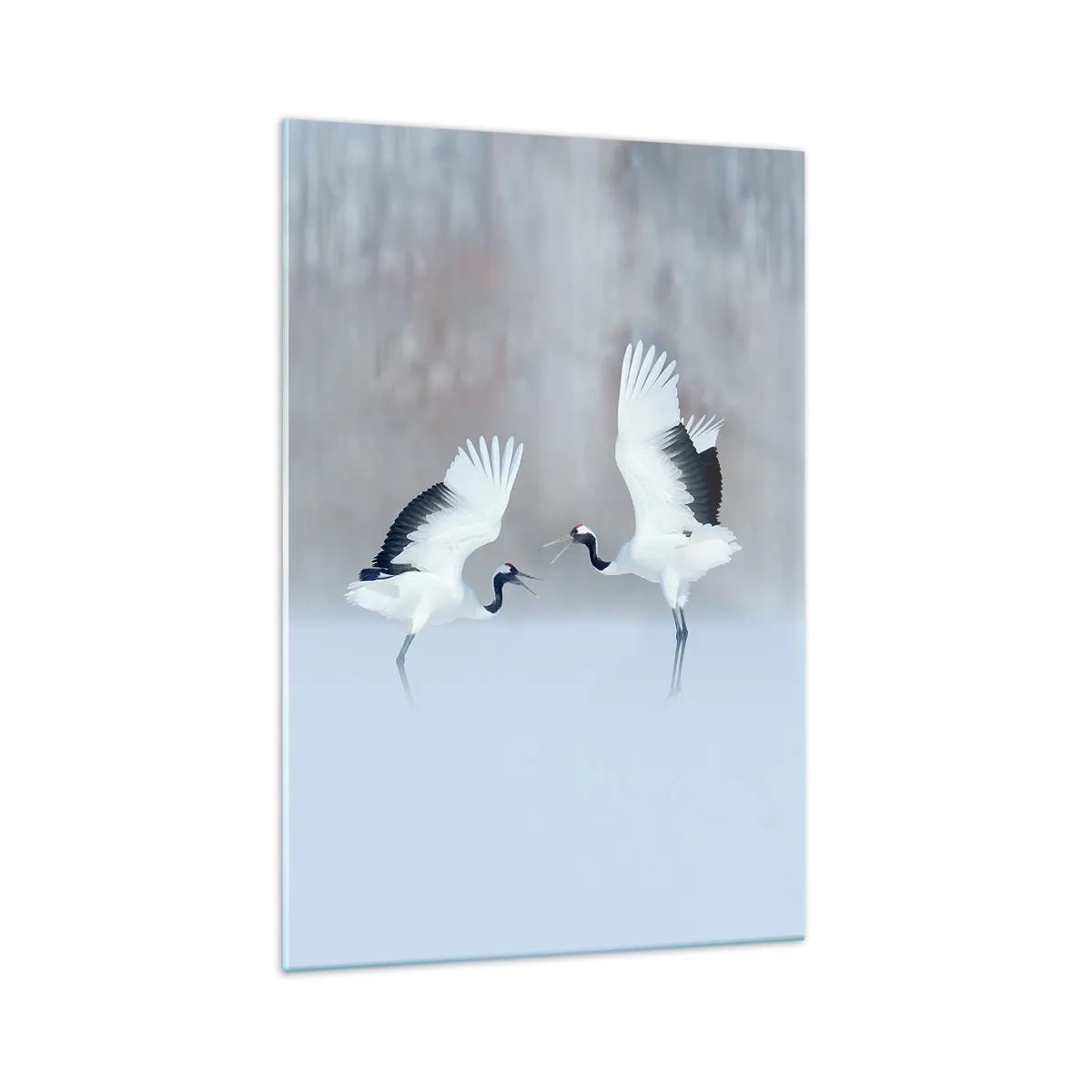 Impression sur verre - Image sur verre - Deux grues dansant dans un paysage brumeux - 70x100cm - Danse dans le brouillard - Décoration murale moderne pour le salon et la chambre ARTTOR