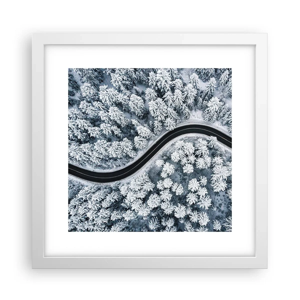 Affiche dans un cadre blanc - Poster - À travers une forêt d'hiver - 30x30 cm