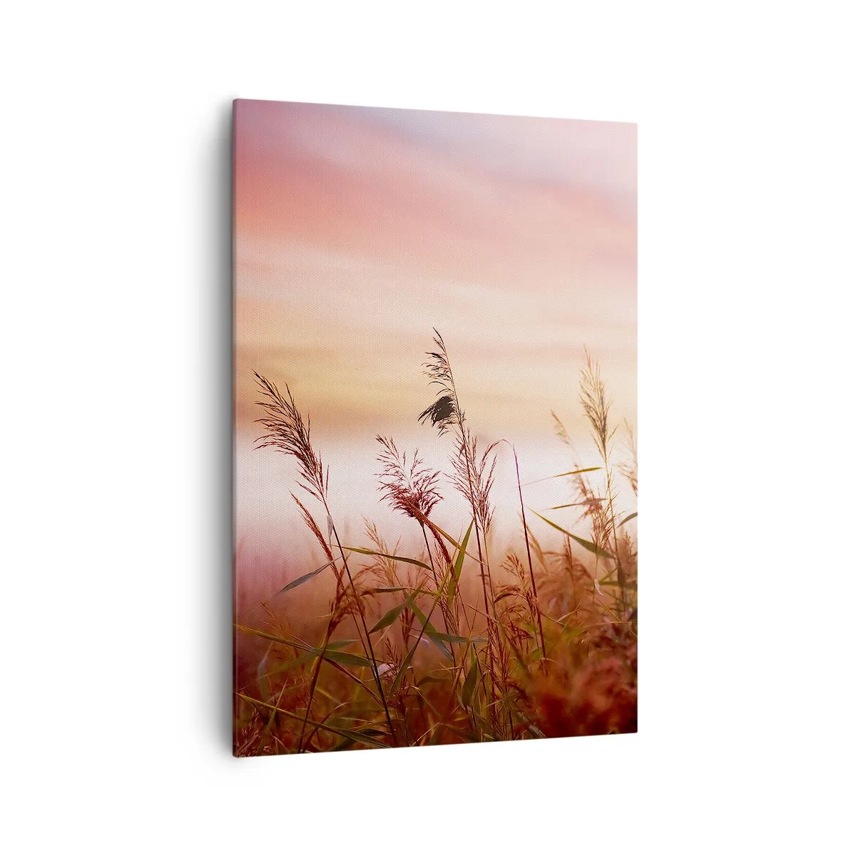 Impression sur toile - Image sur toile - Un champ d'herbe sur fond de coucher de soleil pittoresque - 70x100cm - Cerfs-volants, pissenlits, vent - Décoration murale moderne pour le salon et la chambre ARTTOR