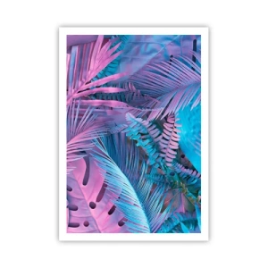 Affiche - Poster - Les tropiques en rose et bleu - 70x100 cm