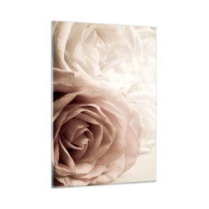 Impression sur verre - Image sur verre - De délicates roses légères dans un gros plan romantique - 50x70cm - Au coeur d'ue la rose - Décoration murale moderne pour le salon et la chambre ARTTOR