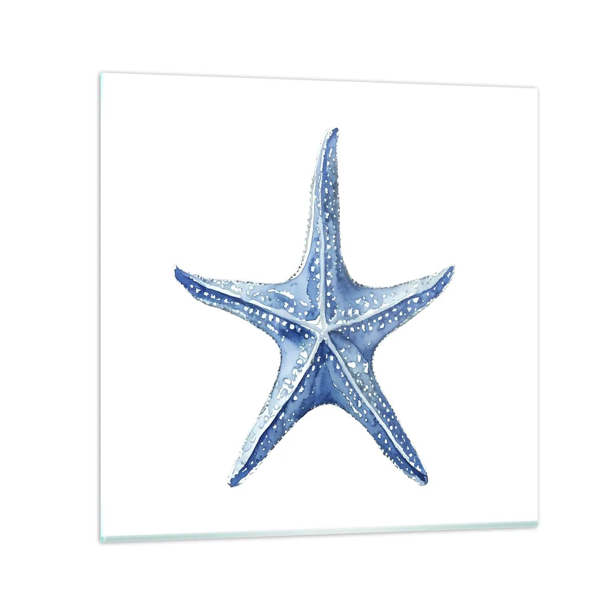 Impression sur verre - Image sur verre - Étoile de mer - 70x70 cm