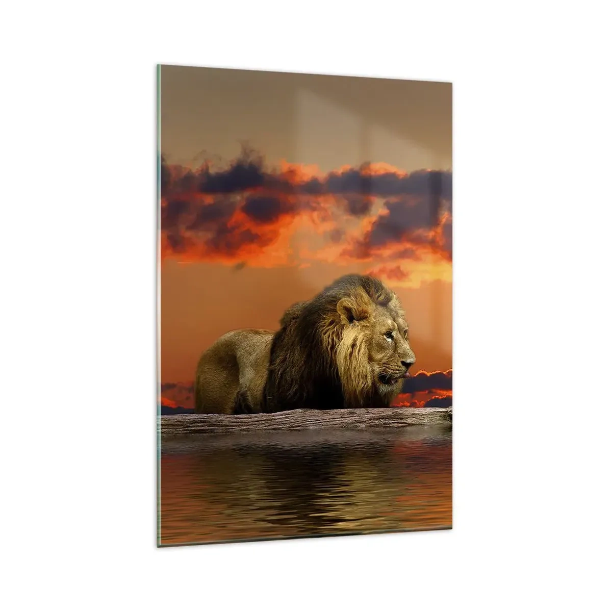 Impression sur verre - Image sur verre - Un lion se repose au bord de l'eau au coucher du soleil avec un ciel dramatique. - 80x120cm - Le roi de la nature - Décoration murale moderne pour le salon et la chambre ARTTOR
