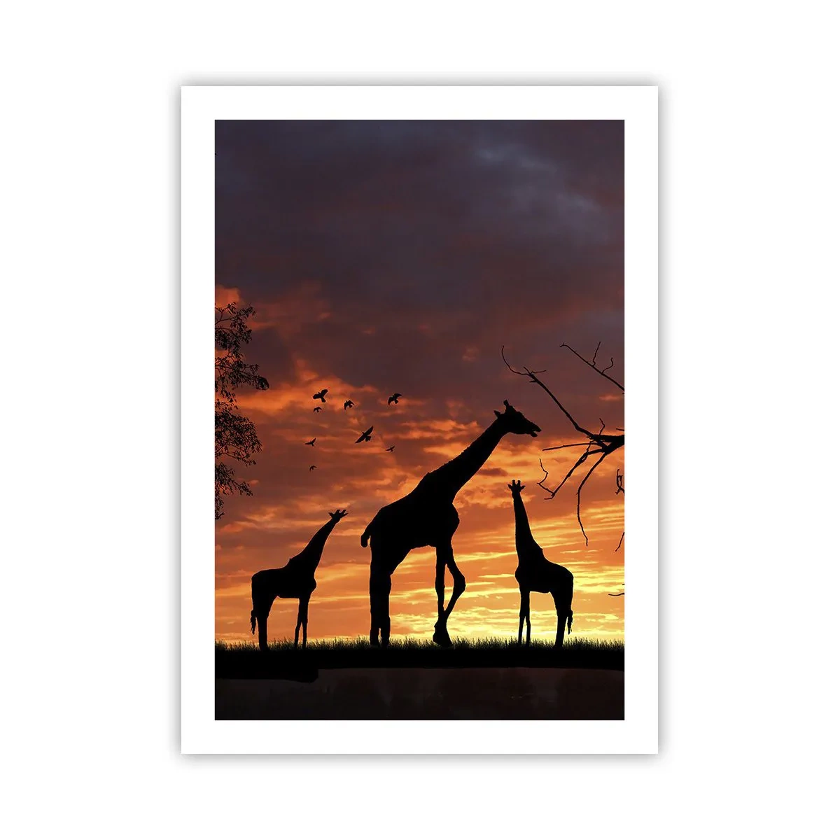 Affiche - Poster - Silhouettes de girafes au coucher du soleil - 50x70cm - Un petit dîner avec vos proches - Décoration murale moderne pour le salon et la chambre ARTTOR