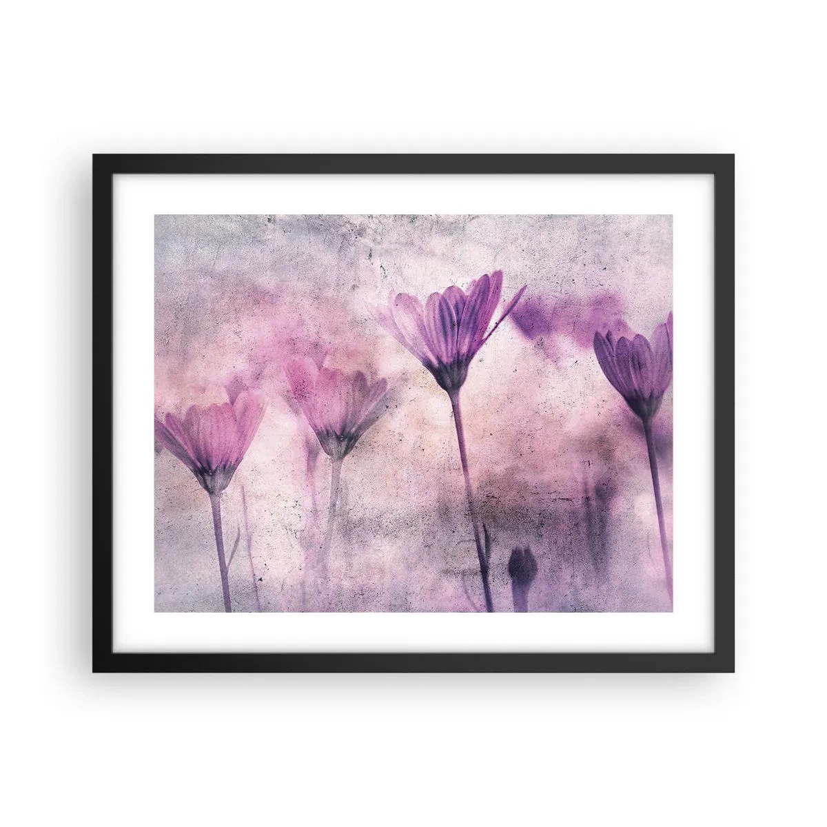 Affiche dans un cadre noir - Poster - Rêve de fleurs - 50x40 cm