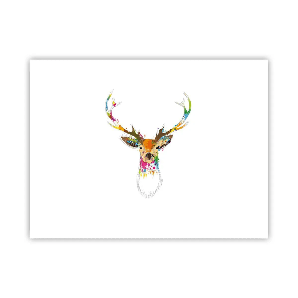 Affiche - Poster - Un cerf doux baigné de couleur - 40x30 cm