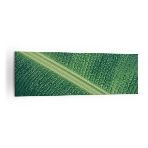 Impression sur toile - Image sur toile - Une feuille verte avec des gouttes d'eau à sa surface - 160x50cm - Structure de vert - Décoration murale moderne pour le salon et la chambre ARTTOR