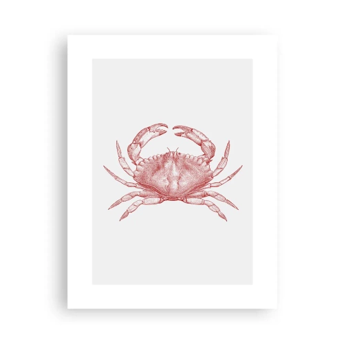 Affiche - Poster - Le crabe des crabes - 30x40 cm