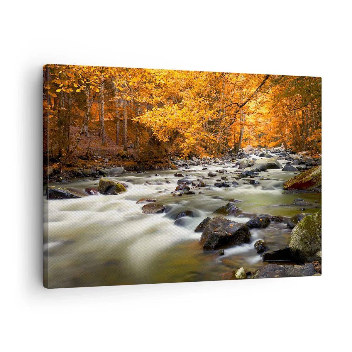 Impression sur toile - Image sur toile - Un ruisseau dans une forêt d'automne entouré de feuilles dorées - 70x50cm - Un ruisseau dans une forêt dorée - Décoration murale moderne pour le salon et la chambre ARTTOR