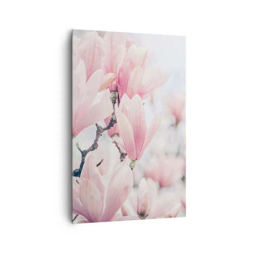 Impression sur toile - Image sur toile - Fleurs de magnolia subtiles aux délicates nuances roses - 80x120cm - Idéal de la subtilité - Décoration murale moderne pour le salon et la chambre ARTTOR