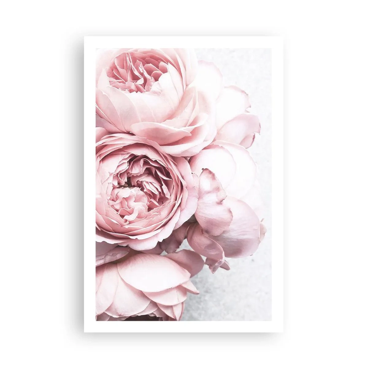 Affiche - Poster - Pour les romantiques - 61x91 cm
