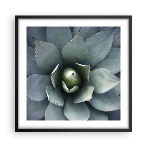 Affiche dans un cadre noir - Poster - Wabi et observe - 50x50 cm