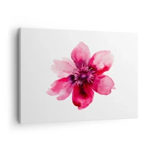 Impression sur toile - Image sur toile - Fleur rose dans un style aquarelle sur fond blanc - 70x50cm - Un baiser parfumé au carmin - Décoration murale moderne pour le salon et la chambre ARTTOR