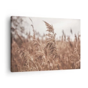 Impression sur toile - Image sur toile - Herbes dorées sur fond de paysage d'automne - 70x50cm - C'est déjà l'automne dans les champs - Décoration murale moderne pour le salon et la chambre ARTTOR