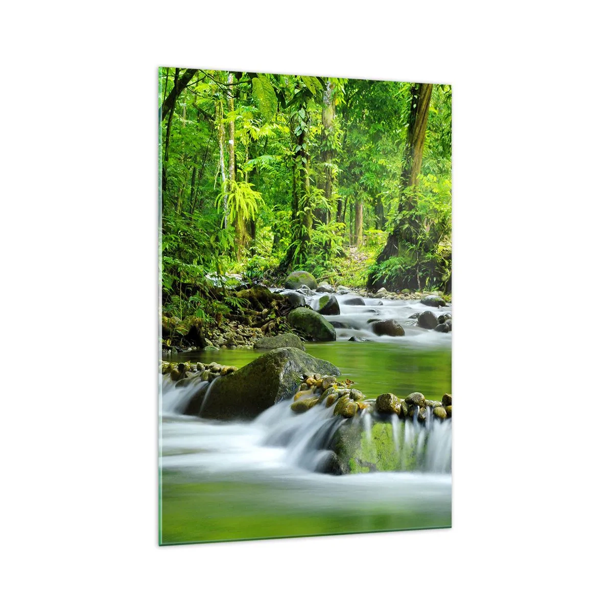 Impression sur verre - Image sur verre - Un ruisseau dans une forêt tropicale luxuriante - 70x100cm - Nager dans un océan de verdure - Décoration murale moderne pour le salon et la chambre ARTTOR