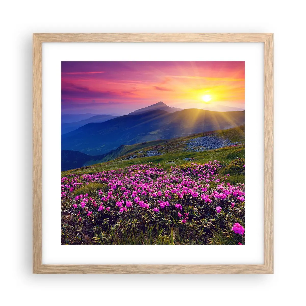 Affiche dans un chêne clair - Poster - … Et autour, ça sent le pin des montagnes et l'odeur de la prairie - 40x40 cm