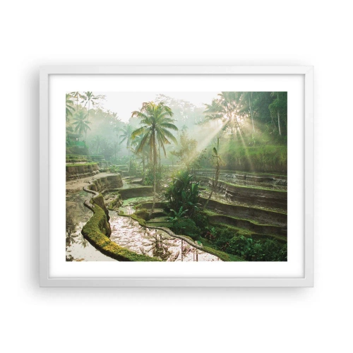 Affiche dans un cadre blanc - Poster - Grandir au soleil - 50x40 cm