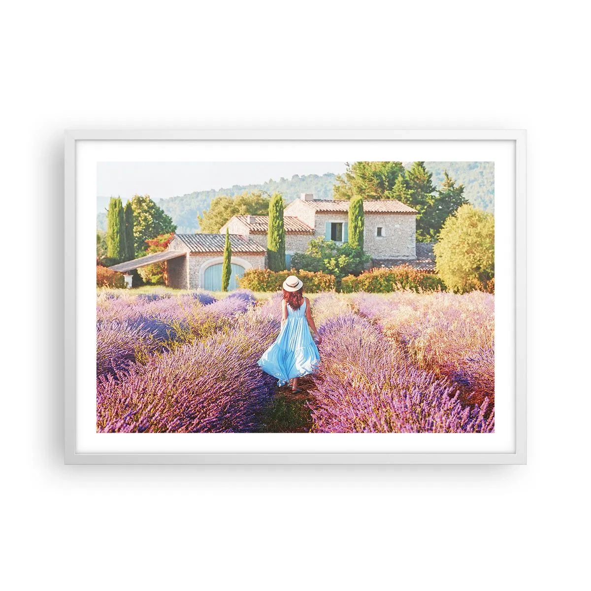 Affiche dans un cadre blanc - Poster - Fille de la lavande - 70x50 cm